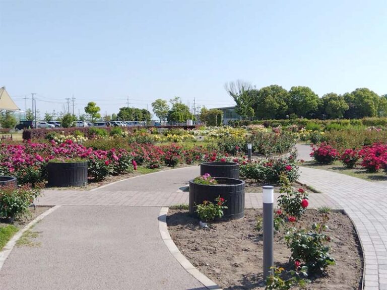 エコパークのバラ園