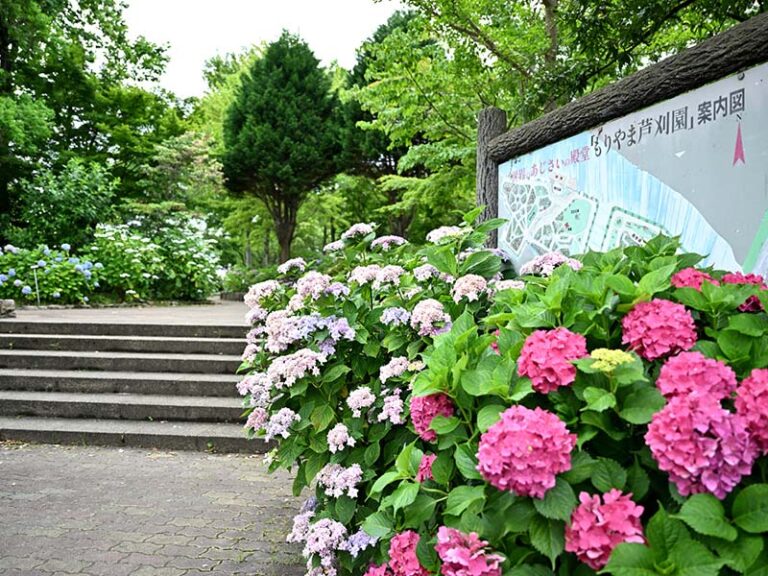 もりやま芦刈園
