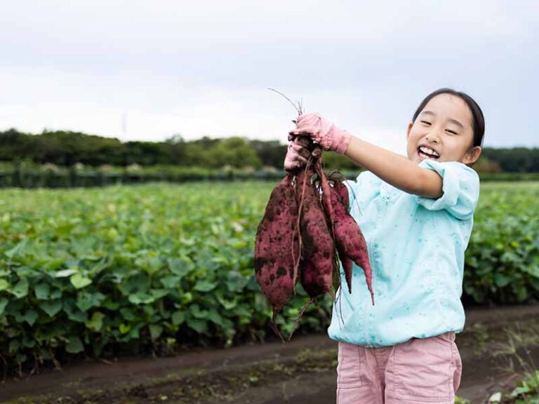 子どもたちの 体験機会をお手伝い