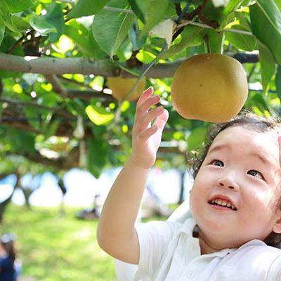 家族みんなが笑顔に！
